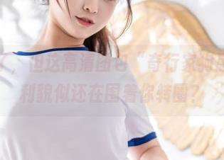 春节过了，但这高清图包“奇行家狗崽”的福利貌似还在围着你转圈？