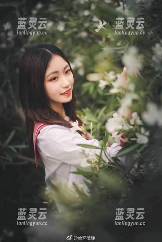 沧霁桔梗的写真，需要几千年的时间好好品味。