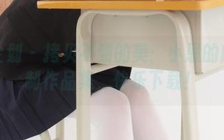 紧急企划 – 拷贝不到的美：小恩的内部定制作品集，快乐下载！